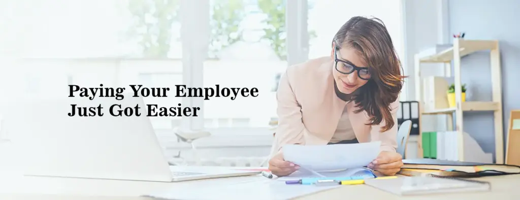 HR manager using Payroll management System for paying employees with ease