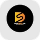 Digi Skills company logo representing the organization.