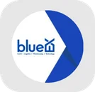 BlueEX company logo.