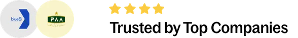 Top company logos featured on Aliza Waseem's professional profile.