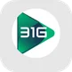 31 Green logo