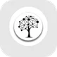 IIENSTITU logo
