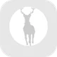 Silverlight Research logo
